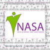 NASA Logo Decal