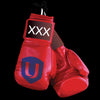 The Boxer -- Union